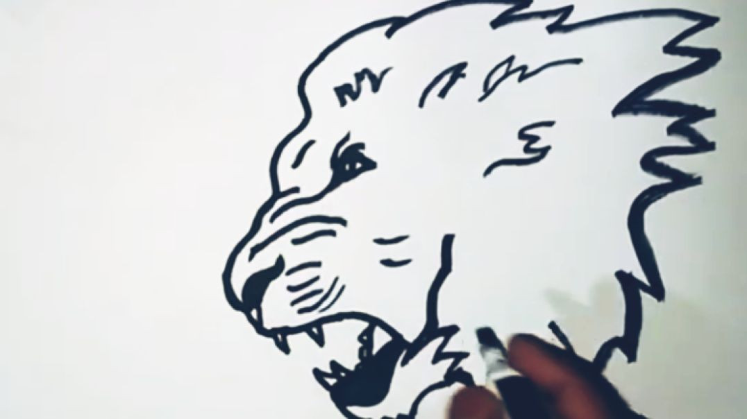 Lion Face drawing step video