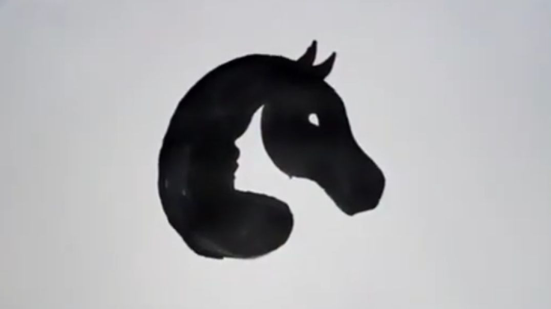 ⁣how_to_Draw_a_Horse_Drawing_2d_video_Art_By_shahul_hameed_SR(360p)