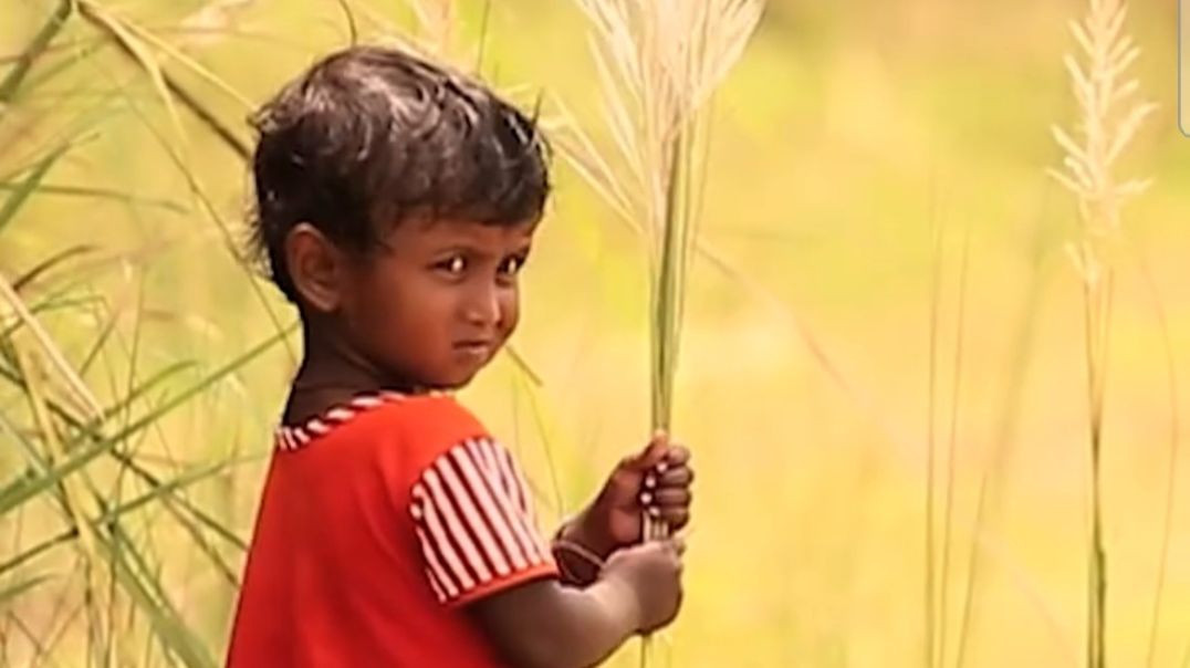 ⁣Bengali folk song sung by Rajkumar.