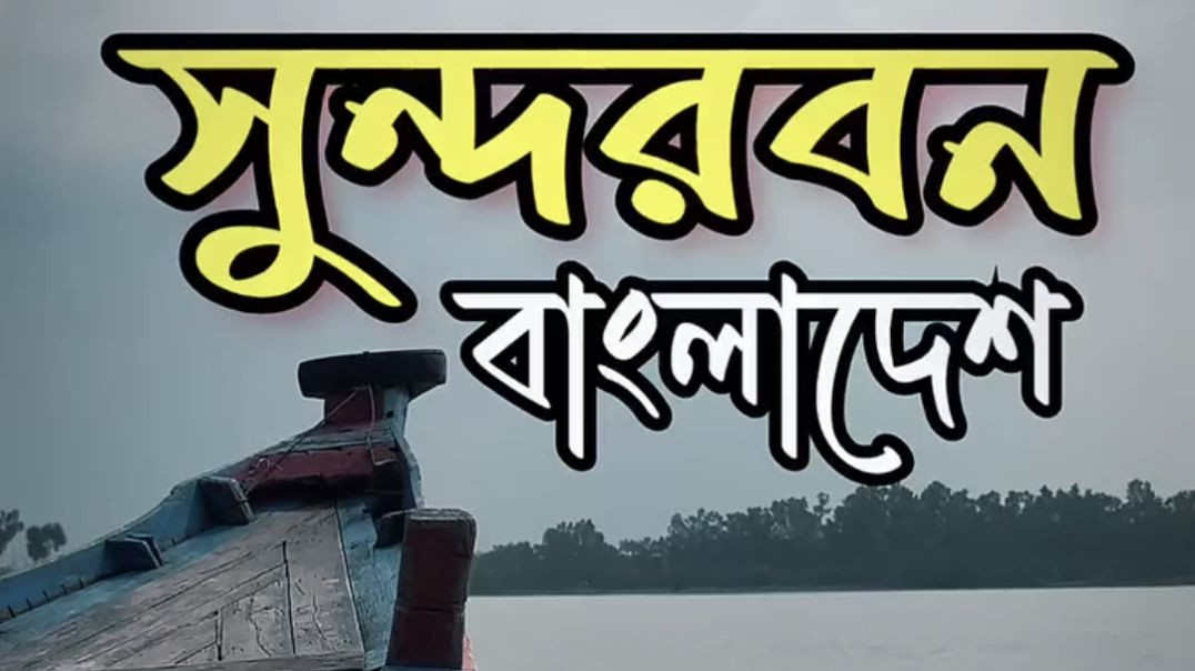 ⁣সুন্দরবন বাংলাদেশ।